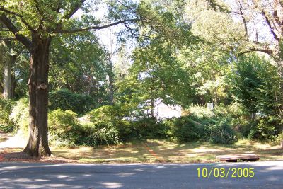 waltelr lside lot